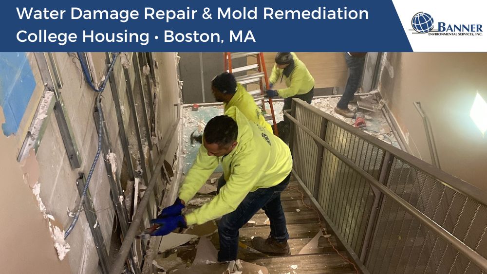 mold remediation water damage repair boston ma 1 Water Damage Repair & Mold Remediation • College Housing Unit in Boston, MA