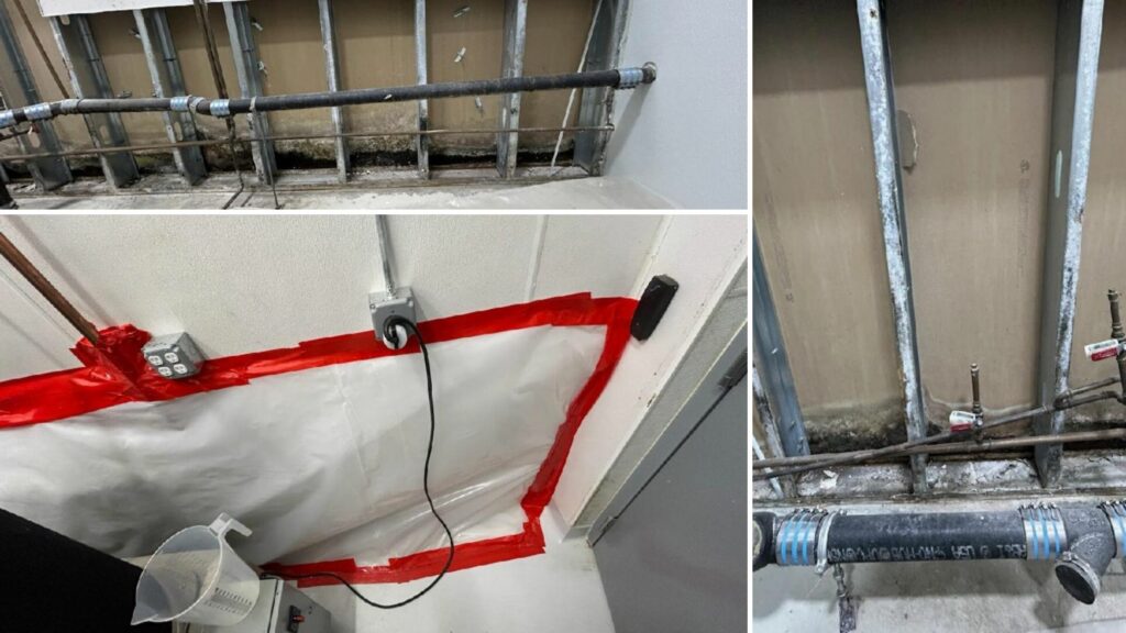 mold remediation new bedford mold remediation new bedford