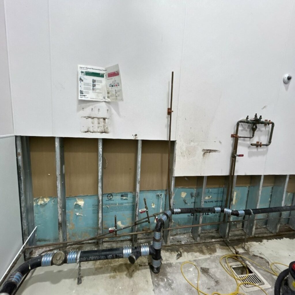 mold remediation new bedford ma 2 mold remediation new bedford ma