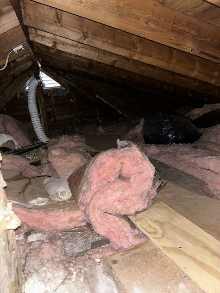 vermiculite abatement worcester ma residential attic 4 residential vermiculite abatement worcester ma