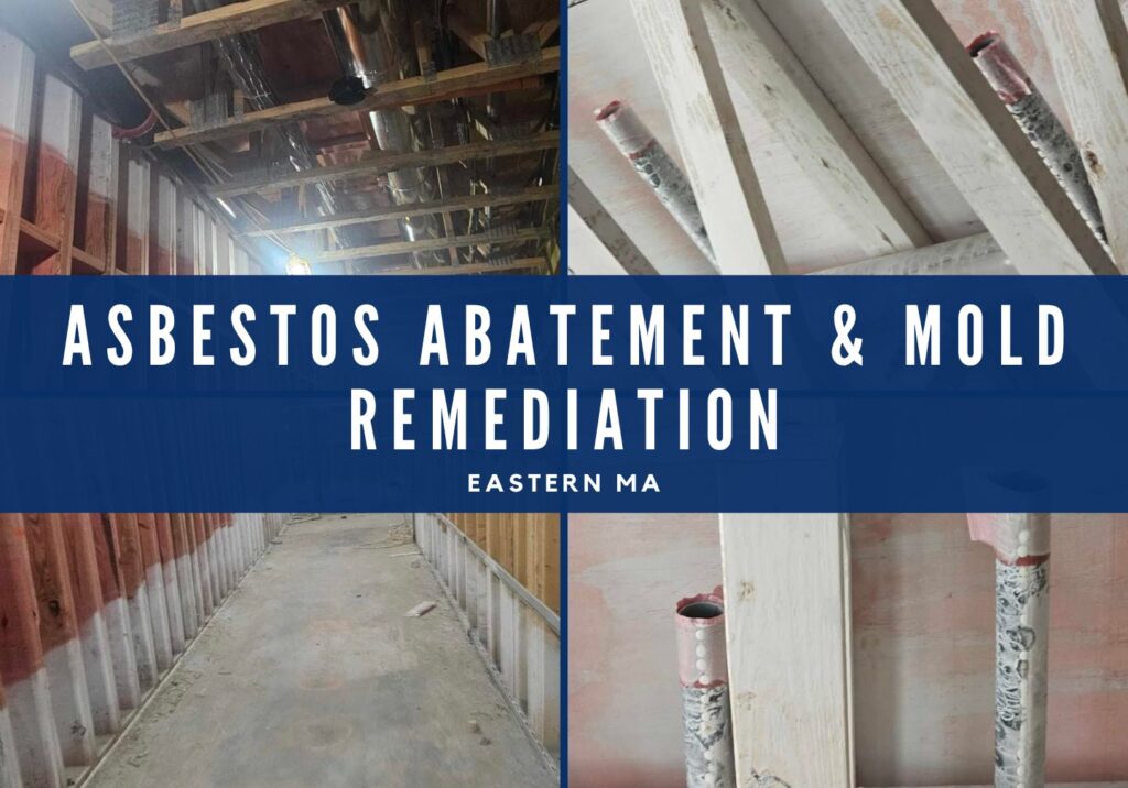 mold remediation asbestos abatement Mold Remediation and Asbestos Abatement