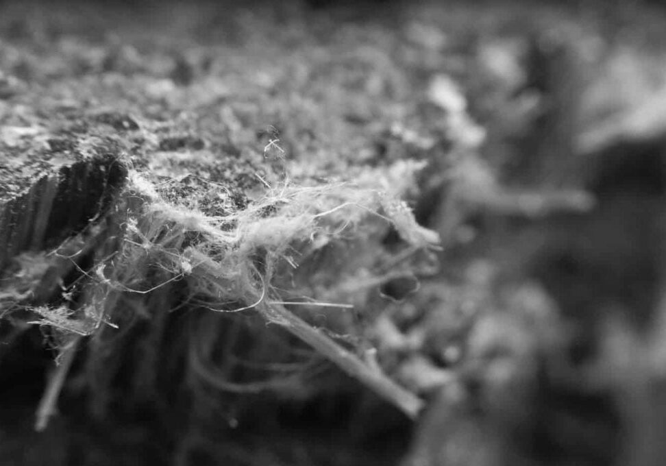 asbestos abatement removal ma ri asbestos abatement removal services in massachusetts and rhode island