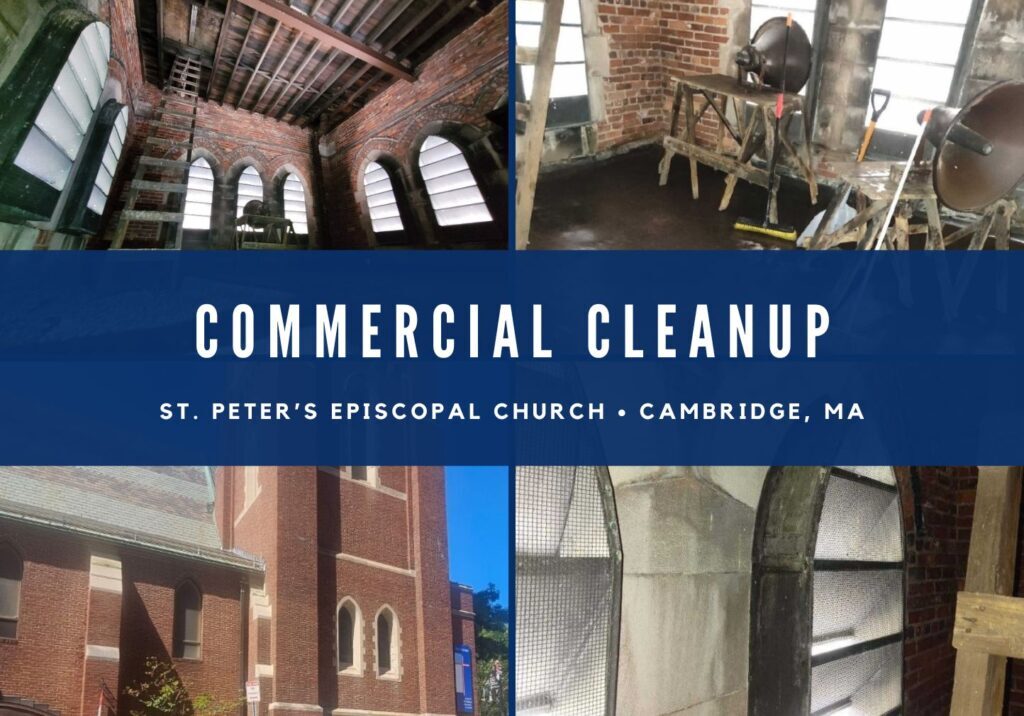 commercial-cleanup-St-Peters-Episcopal-Church-Cambridge-MA St. Peter’s Episcopal Church • Cambridge, MA Bird Guano Commercial Cleanup
