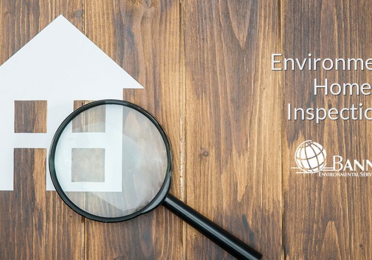 Environmental Home Inspection