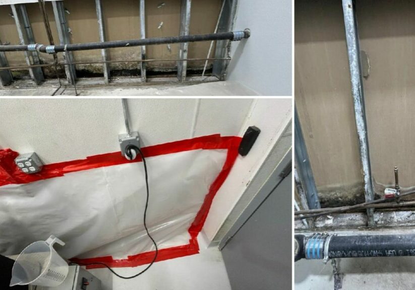 mold-remediation-new-bedford mold remediation new bedford