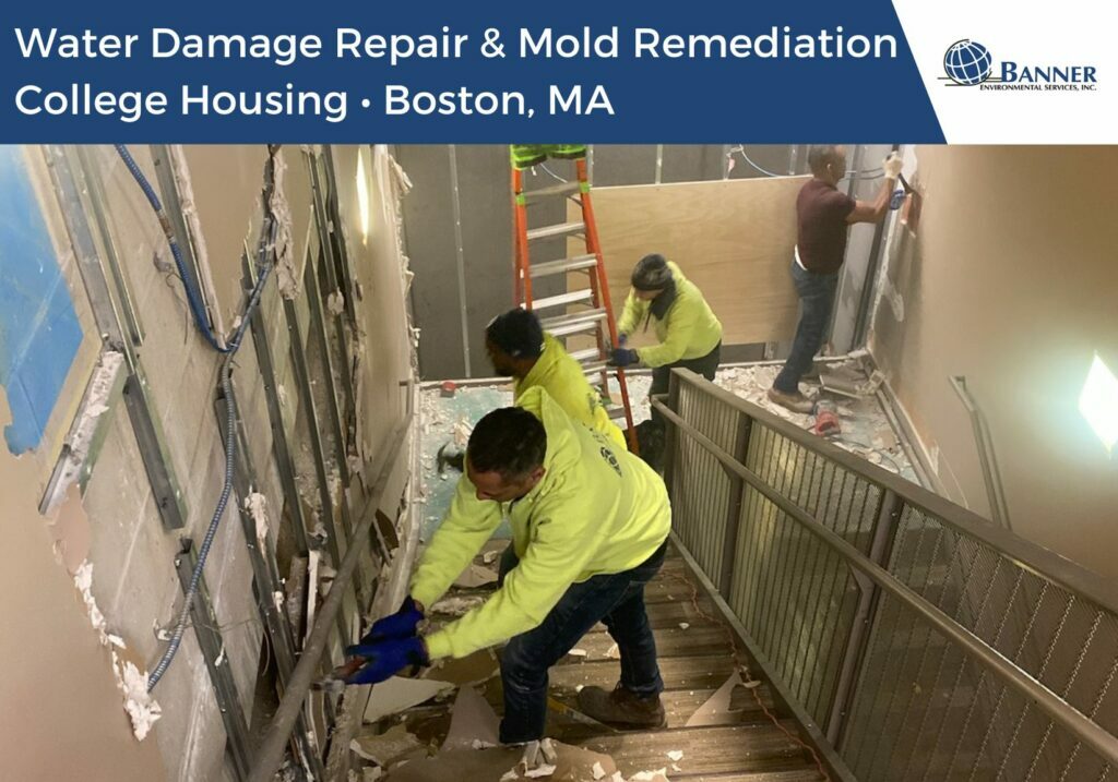 mold remediation, removal and mitigation. water damage repair. college housing unit in boston ma