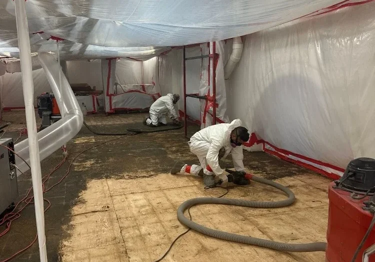 why-your-renovation-needs-an-asbestos-survey-right-now-image pre construction asbestos survey